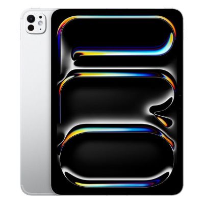 Apple iPad Pro 5TH WiFi 256GB with Standard glass, 11-inch - Silver