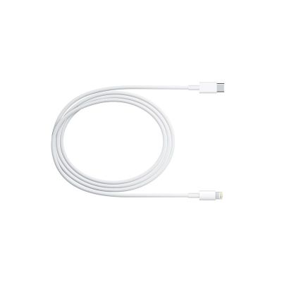 Apple USB-C to Lightning Cable (1 M)
