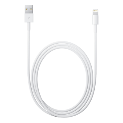 Apple Lightning to USB Cable (2 M)