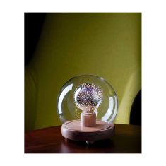 Momax Smart Fancy IoT LED Bulb (Radiant) +Momax Wooden Lamp Stand with Glass Cover (Sphere)