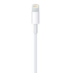 Apple USB-C to Lightning Cable (2 M) - Image 3